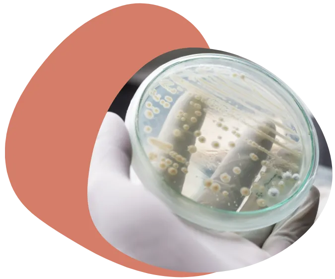 illustration-of-woman-with-yeast-infection
