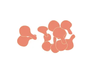 Illustration of bacterial cells representing the STI Mycoplasma genitalium infection