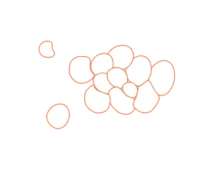 Illustration of polymorphic bacterial cells representing a Ureaplasma infection